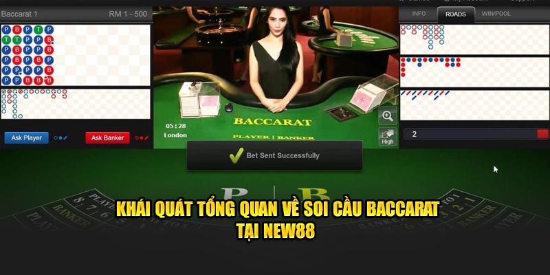 Khái quát tổng quan về soi cầu Baccarat tại New88